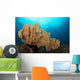 Beautiful Sea Fan Silliman Wall Decal
