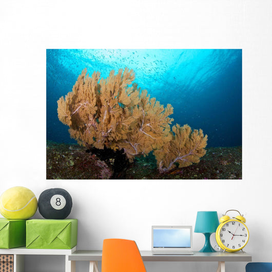 Beautiful Sea Fan Silliman Wall Decal