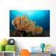 Beautiful Sea Fan Silliman Wall Decal