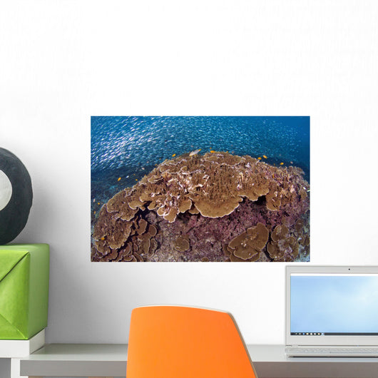 Sardines and Hard Corals Wall Decal