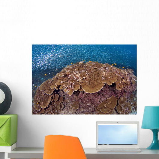 Sardines and Hard Corals Wall Decal