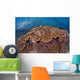 Sardines and Hard Corals Wall Decal