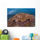 Sardines and Hard Corals Wall Decal