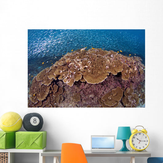 Sardines and Hard Corals Wall Decal