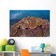 Sardines and Hard Corals Wall Decal