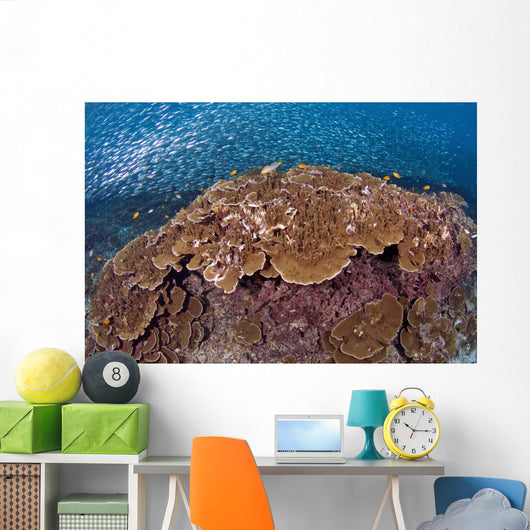Sardines and Hard Corals Wall Decal