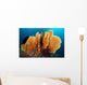 Sea Fan Silliman Islands Wall Decal