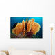 Sea Fan Silliman Islands Wall Decal