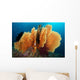 Sea Fan Silliman Islands Wall Decal