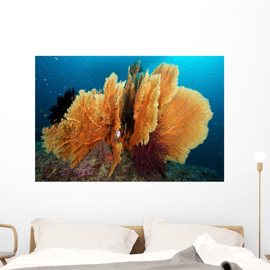 Sea Fan Silliman Islands Wall Decal