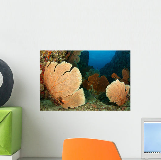 Beautiful Sea Fans Fan Wall Decal