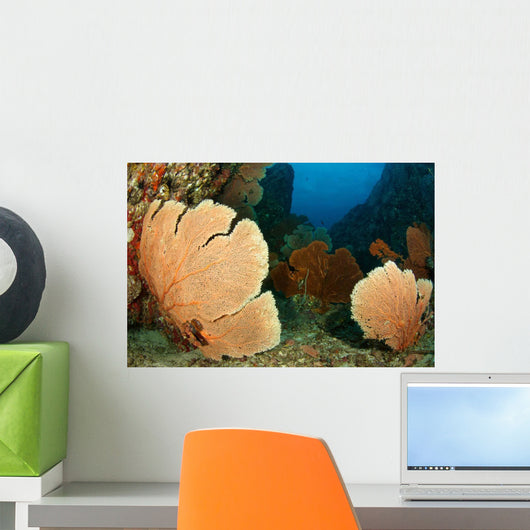 Beautiful Sea Fans Fan Wall Decal