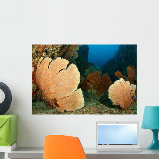 Beautiful Sea Fans Fan Wall Decal