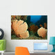 Beautiful Sea Fans Fan Wall Decal