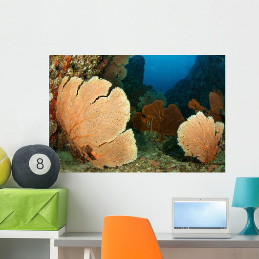 Beautiful Sea Fans Fan Wall Decal