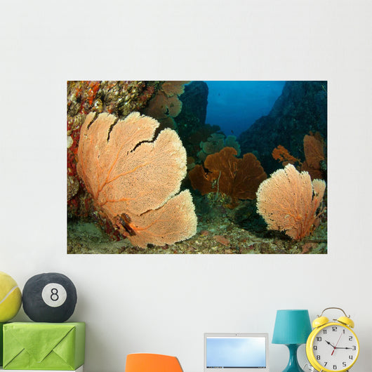 Beautiful Sea Fans Fan Wall Decal