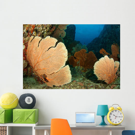 Beautiful Sea Fans Fan Wall Decal