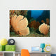 Beautiful Sea Fans Fan Wall Decal