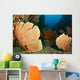 Beautiful Sea Fans Fan Wall Decal