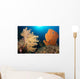 Sea Fans Silliman Islands Wall Decal