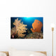 Sea Fans Silliman Islands Wall Decal