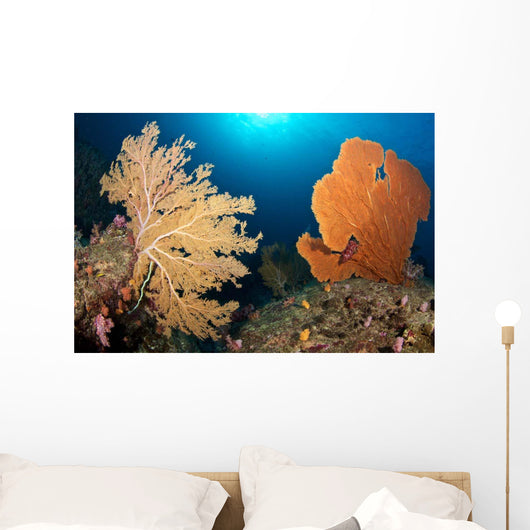 Sea Fans Silliman Islands Wall Decal