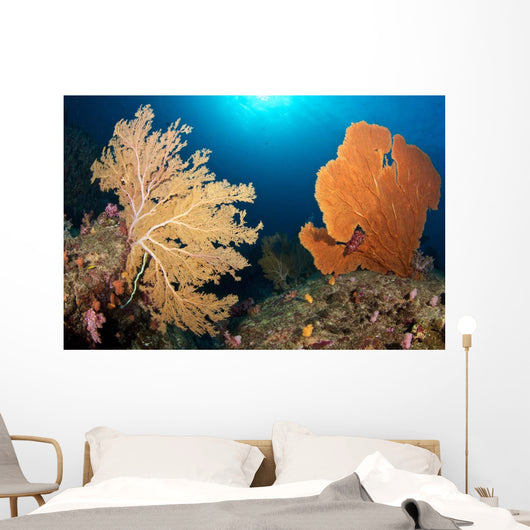 Sea Fans Silliman Islands Wall Decal