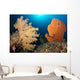 Sea Fans Silliman Islands Wall Decal