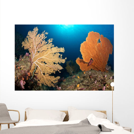 Sea Fans Silliman Islands Wall Decal