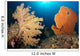 Sea Fans Silliman Islands Wall Decal