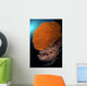 Sea Fans Wall Tubbataha Wall Decal