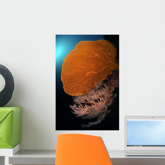 Sea Fans Wall Tubbataha Wall Decal