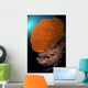 Sea Fans Wall Tubbataha Wall Decal