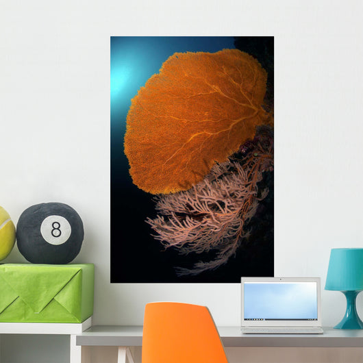 Sea Fans Wall Tubbataha Wall Decal