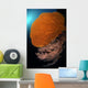 Sea Fans Wall Tubbataha Wall Decal