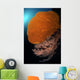 Sea Fans Wall Tubbataha Wall Decal