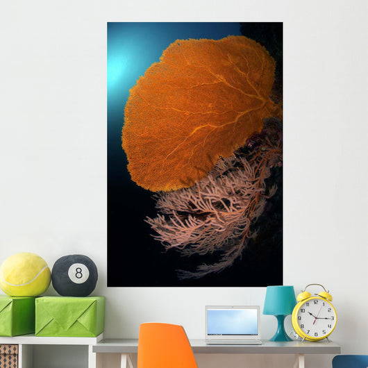 Sea Fans Wall Tubbataha Wall Decal
