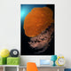 Sea Fans Wall Tubbataha Wall Decal