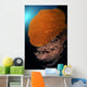 Sea Fans Wall Tubbataha Wall Decal