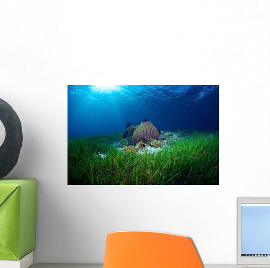Sea Grass Meadow and Wall Decal