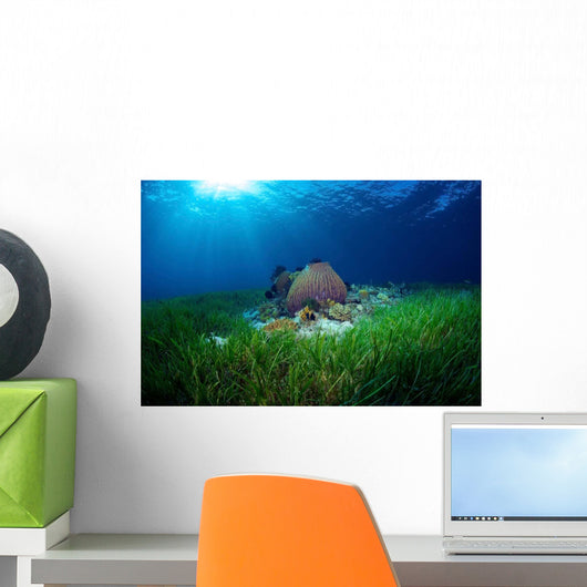 Sea Grass Meadow and Wall Decal