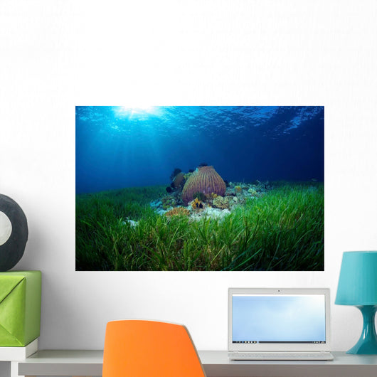 Sea Grass Meadow and Wall Decal