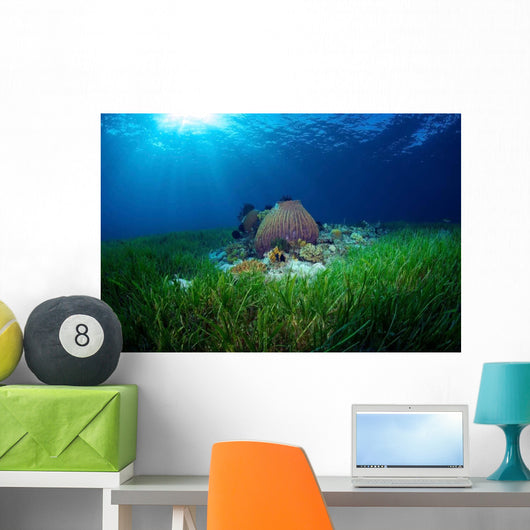 Sea Grass Meadow and Wall Decal