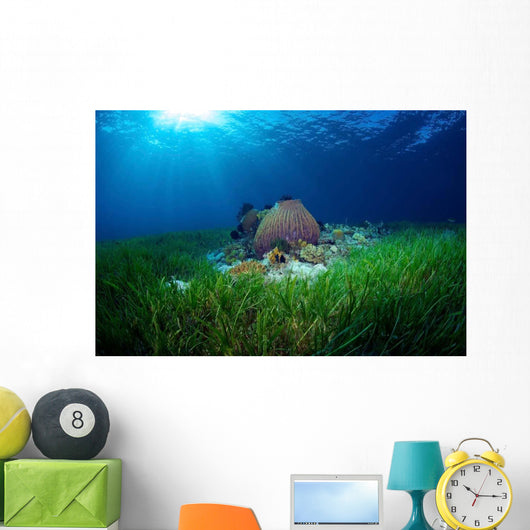 Sea Grass Meadow and Wall Decal