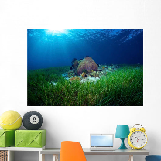 Sea Grass Meadow and Wall Decal