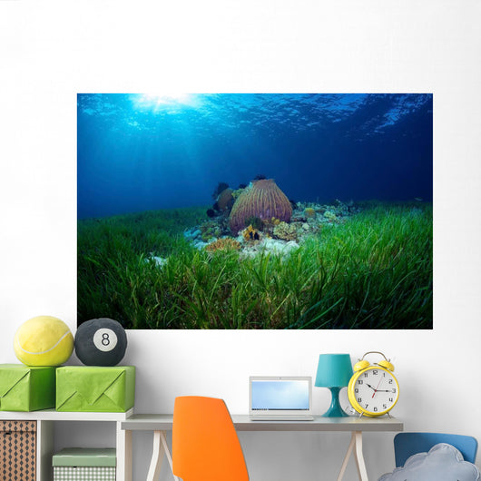 Sea Grass Meadow and Wall Decal