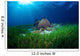 Sea Grass Meadow and Wall Decal