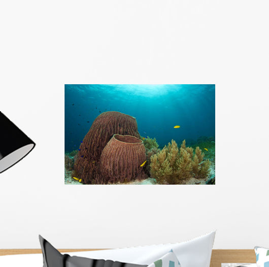 Sponges and Soft Corals Wall Decal