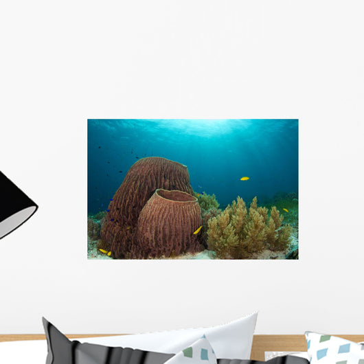 Sponges and Soft Corals Wall Decal