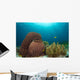 Sponges and Soft Corals Wall Decal